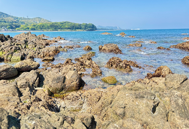 海に大量の魚が死んでいた…｜行政職員からの調査相談