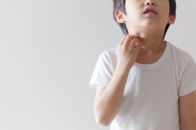 ペット禁止のはずが…敷地内に野良猫が住み着いている|40代女性からの調査相談