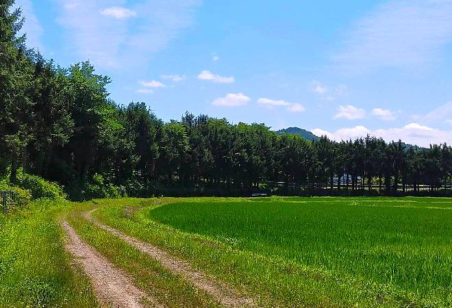 所有する田んぼにタイヤ痕とエンジンオイル…原因不明の車両侵入被害|探偵利用事例