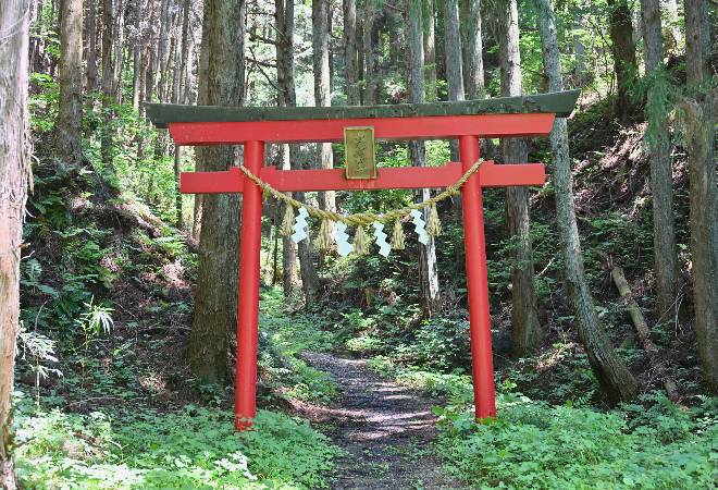 古びた鳥居の画像。